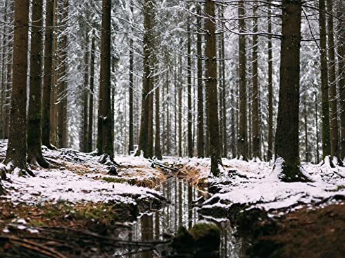 500 Teile Puzzle,Lernen Pädagogische Puzzle Spielzeug - Wälder Bach Schnee 52x38cm von FRUKAT