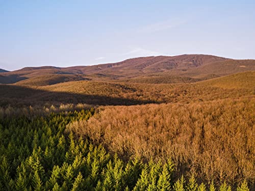 500 Teile Puzzle,Lernen Pädagogische Puzzle Spielzeug - Wälder Bäume Hügel 52x38cm von FRUKAT