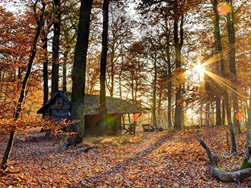 500 Teile Puzzle,Lernen Pädagogische Puzzle Spielzeug - Wälder Haus Bäume 52x38cm von FRUKAT