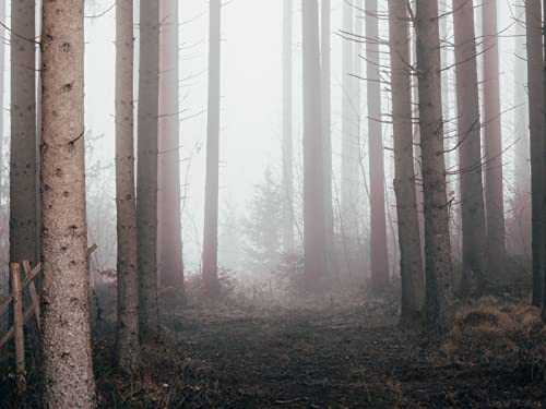 500 Teile Puzzle,Lernen Pädagogische Puzzle Spielzeug - Wälder Nebel Kiefern 52x38cm 500 Teile Puzzle,Lernen Pädagogische Puzzle Spielzeug - Wälder Nebel Kiefern 52x38cm von FRUKAT