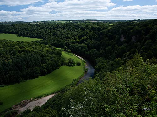 500 Teile Puzzle,Puzzle für Erwachsene,Puzzle Farbenfrohes - Flusswindende Bäume 52x38cm von FRUKAT