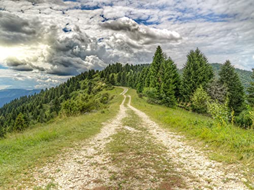 500 Teile Puzzle,Puzzle für Erwachsene,Puzzle Farbenfrohes - Straßenentfernung Wälder 52x38cm von FRUKAT