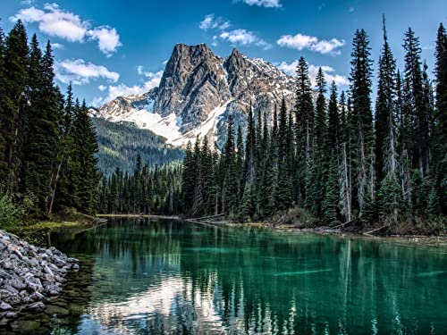 500 Teile Puzzle Farbenfrohes Puzzle für Erwachsene und Kinder - Berg Fluss Bäume 52x38cm 500 Teile Puzzle Farbenfrohes Puzzle für Erwachsene und Kinder - Berg Fluss Bäume 52x38cm von FRUKAT