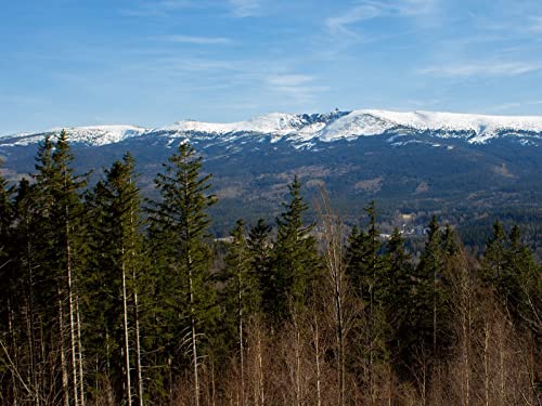 500 Teile Puzzle Farbenfrohes Puzzle für Erwachsene und Kinder - Wälder Bäume Berge 52x38cm 500 Teile Puzzle Farbenfrohes Puzzle für Erwachsene und Kinder - Wälder Bäume Berge 52x38cm von FRUKAT