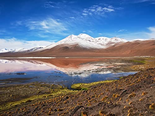 500 Teile Puzzle ab 14 Jahren,Buntes Erwachsenenpuzzle - Berggipfelsee 52x38cm 500 Teile Puzzle ab 14 Jahren,Buntes Erwachsenenpuzzle - Berggipfelsee 52x38cm von FRUKAT