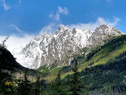 500 Teile Puzzle ab 14 Jahren,Buntes Erwachsenenpuzzle - Bergschneebäume 52x38cm von FRUKAT