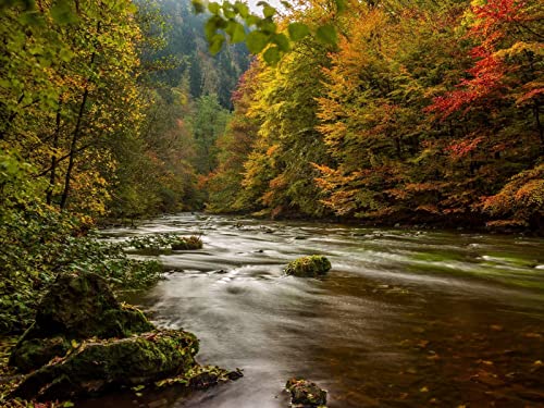 500 Teile Puzzle ab 14 Jahren,Buntes Erwachsenenpuzzle - Harz Deutschland Herbst 52x38cm von FRUKAT