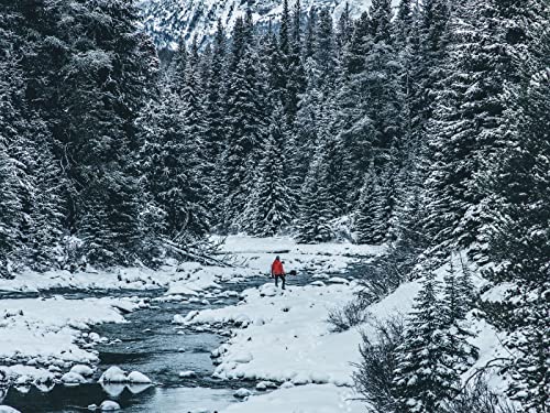 500 Teile Puzzle ab 14 Jahren,Buntes Erwachsenenpuzzle - Man River 52x38cm 500 Teile Puzzle ab 14 Jahren,Buntes Erwachsenenpuzzle - Man River 52x38cm von FRUKAT
