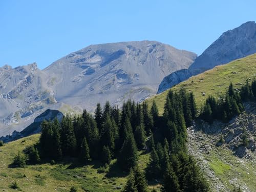 500 Teile Puzzle für Erwachsene und Kinder ab 14 Jahren-Bäume, Berge, Landschaft 52x38cm von FRUKAT