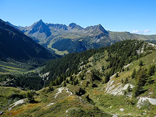 500 Teile Puzzle für Erwachsene und Kinder ab 14 Jahren - Berge Relief Bäume 52x38cm von FRUKAT