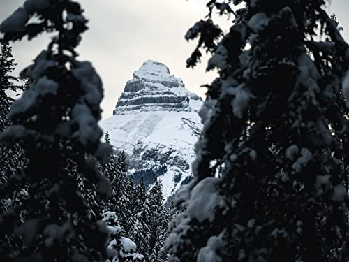 500 Teile Puzzle für Erwachsene und Kinder ab 14 Jahren - Berggipfelschnee 52x38cm 500 Teile Puzzle für Erwachsene und Kinder ab 14 Jahren - Berggipfelschnee 52x38cm von FRUKAT