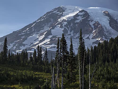 500 Teile Puzzle für Erwachsene und Kinder ab 14 Jahren - Berghangrelief 52x38cm 500 Teile Puzzle für Erwachsene und Kinder ab 14 Jahren - Berghangrelief 52x38cm von FRUKAT