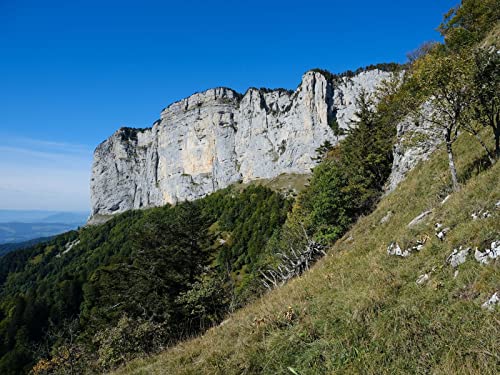 500 Teile Puzzle für Erwachsene und Kinder ab 14 Jahren - Bergvorgebirge 52x38cm 500 Teile Puzzle für Erwachsene und Kinder ab 14 Jahren - Bergvorgebirge 52x38cm von FRUKAT