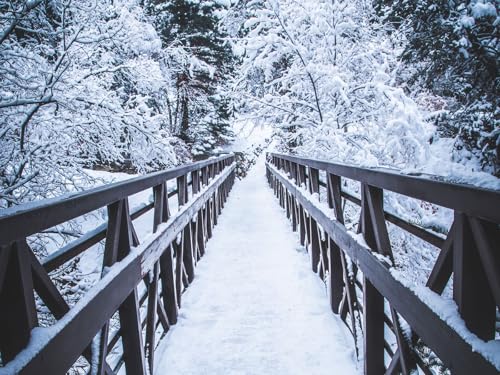 500 Teile Puzzle für Erwachsene und Kinder ab 14 Jahren-Brücke, Schnee, Bäume 52x38cm von FRUKAT