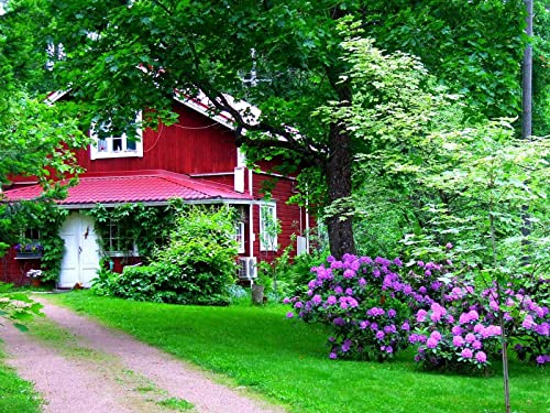 500 Teile Puzzle für Erwachsene und Kinder ab 14 Jahren - Haus Garten Hof 52x38cm von FRUKAT