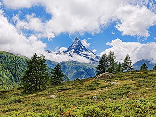 500 Teile Puzzle für Erwachsene und Kinder ab 14 Jahren Puzzle für Wohnkultur - Felsen Bäume Hang 52x38cm 500 Teile Puzzle für Erwachsene und Kinder ab 14 Jahren Puzzle für Wohnkultur - Felsen Bäume Hang 52x38cm von FRUKAT