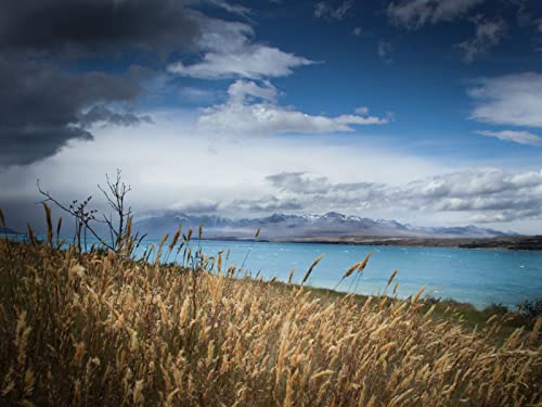 500 Teile Puzzle für Erwachsene und Kinder ab 14 Jahren - Seeufergras 52x38cm 500 Teile Puzzle für Erwachsene und Kinder ab 14 Jahren - Seeufergras 52x38cm von FRUKAT