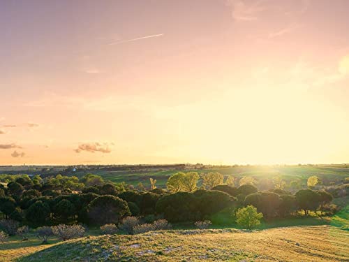 500 Teile Puzzle für Erwachsene und Kinder ab 14 Jahren - Sonnenlicht 52x38cm 500 Teile Puzzle für Erwachsene und Kinder ab 14 Jahren - Sonnenlicht 52x38cm von FRUKAT