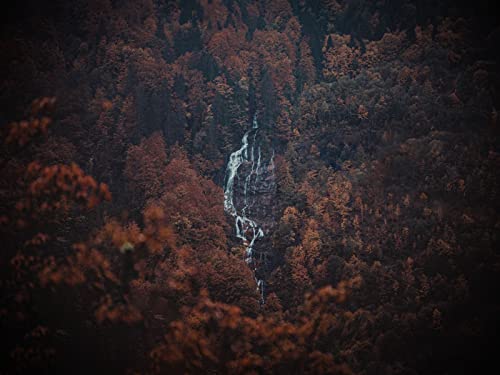 500 Teile Puzzle für Erwachsene und Kinder ab 14 Jahren - Wälder Bäume Felsen 52x38cm 500 Teile Puzzle für Erwachsene und Kinder ab 14 Jahren - Wälder Bäume Felsen 52x38cm von FRUKAT