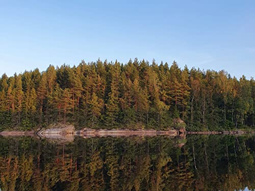 500 Teile Puzzle für Erwachsene und Kinder ab 14 Jahren - Wälder Bäume Reflexion 52x38cm von FRUKAT