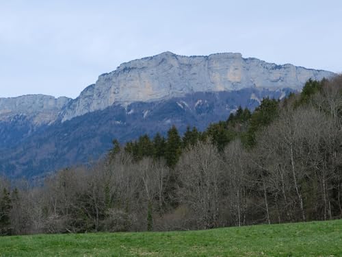500 Teile erwachsenenpuzzle ab 14 Jahren, Berge, Wälder, Bäume, Feld 52x38cm 500 Teile erwachsenenpuzzle ab 14 Jahren, Berge, Wälder, Bäume, Feld 52x38cm von FRUKAT