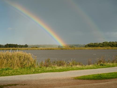 500 Teile erwachsenenpuzzle ab 14 Jahren, Seehorizont Regenbogen 52x38cm 500 Teile erwachsenenpuzzle ab 14 Jahren, Seehorizont Regenbogen 52x38cm von FRUKAT