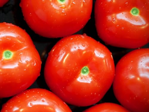 Erwachsenenpuzzle ab 14 Jahren, Tomaten, Lebensmittel, Gemüse 70x50cm von FRUKAT