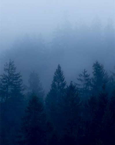 Puzzle 1000 Teile,Impossible Puzzle für Kleinkinder Jungen Mädchen 12 Jahre alt-Wald, Nebel, Bäume 70x50cm von FRUKAT
