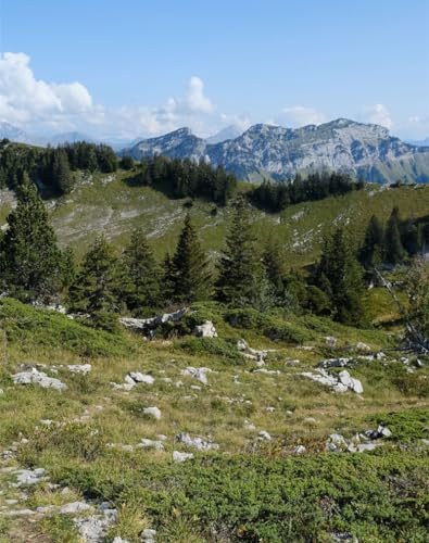 Puzzle 1000 Teile,Lernen Pädagogische Puzzle Spielzeug -Berge, Fichten, Bäume 70x50cm von FRUKAT