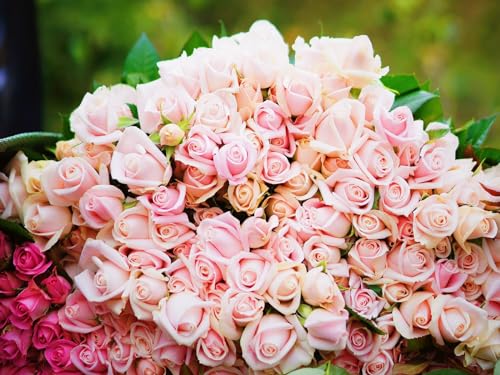 Puzzle 1000 Teile,Puzzle für Erwachsene,Puzzle Farbenfrohes-Rosen, Blumenstrauß, rosa 70x50cm von FRUKAT
