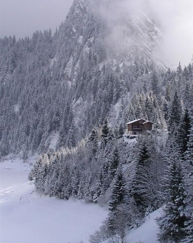 Puzzle 500 Teile,Geschicklichkeitsspiel für die ganze Familie-Holz,Berge,Nebel 52x38cm von FRUKAT