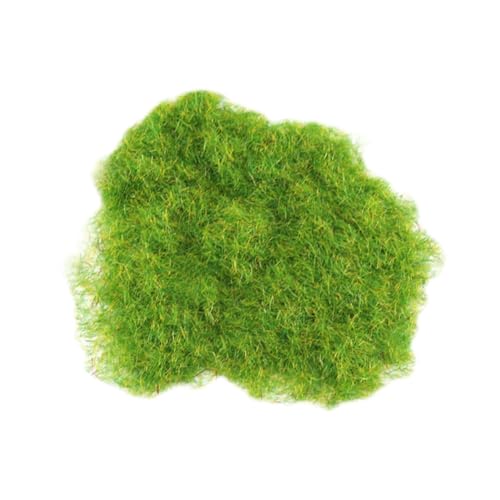 60 Gramm grünes statisches Gras Miniatur realistisches Grasmodell Gelände Gras Pulver Puppenhaus Feengarten Miniaturen Kriegsspiel Gras Miniaturen Diorama Modell Supplies Grün 60 Gramm grünes statisches Gras Miniatur realistisches Grasmodell Gelände Gras Pulver Puppenhaus Feengarten Miniaturen Kriegsspiel Gras Miniaturen Diorama Modell Supplies Grün von FSSTUD