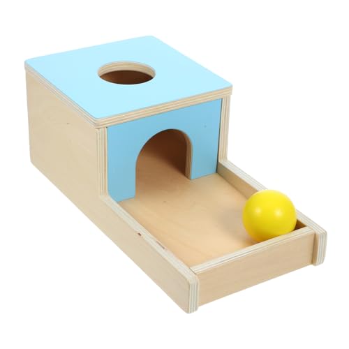 FUNNETOYU 1 Satz Ballbox -Lehrwerkzeug Kinderspielzeug Ballbehälter für Kleinkindspielzeug Bälle für Simulation Toolbox -Spielzeuge Kinderbälle Holz Himmelblau von FUNNETOYU