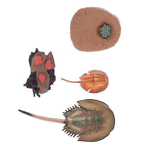 FUNNETOYU 1 Satz Horseshoe Crab Modell Lehrreiches für Dekoratives Tierfiguren für Frühes Lernen für Aquarien Bildungsmodell FUNNETOYU 1 Satz Horseshoe Crab Modell Lehrreiches für Dekoratives Tierfiguren für Frühes Lernen für Aquarien Bildungsmodell von FUNNETOYU