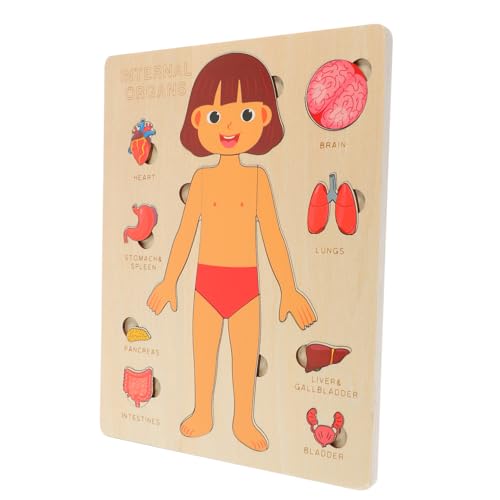 FUNNETOYU 1 Satz Körperpuzzle Holzspielzeug für Lernspielzeug Hand Auge Koordination Kognitive Fähigkeiten und Verständnis der Inneren für Mädchen und Jungen Ab Jahren von FUNNETOYU