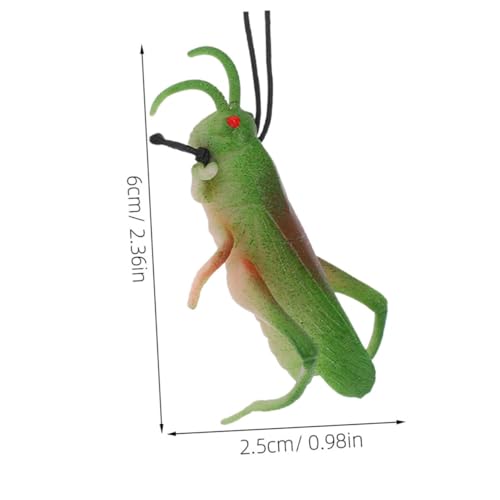 FUNNETOYU 10 Stück Teiliges TPR Insekten Tiermodell Realistisch Geformt Leicht und Langlebig Fördert Kindliche Neugier und Lernspaß für Entdeckung und Natur Exploration von FUNNETOYU