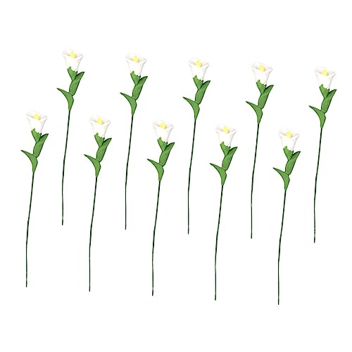 FUNNETOYU 10Stücke Blumendekor Teiliges Realistische Simulationsblumen für Puppenhäuser und DIY Szenen Hochwertiges Harz und für Gartenliebhaber FUNNETOYU 10Stücke Blumendekor Teiliges Realistische Simulationsblumen für Puppenhäuser und DIY Szenen Hochwertiges Harz und für Gartenliebhaber von FUNNETOYU