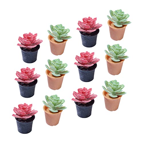 FUNNETOYU 12Stücke Teiliges Miniaturpflanzen für Puppenhaus Künstliche Bonsai Pflanzen zur Dekoration Miniaturhäusern Realistische Topfpflanzen für Wohnzimmer FUNNETOYU 12Stücke Teiliges Miniaturpflanzen für Puppenhaus Künstliche Bonsai Pflanzen zur Dekoration Miniaturhäusern Realistische Topfpflanzen für Wohnzimmer von FUNNETOYU