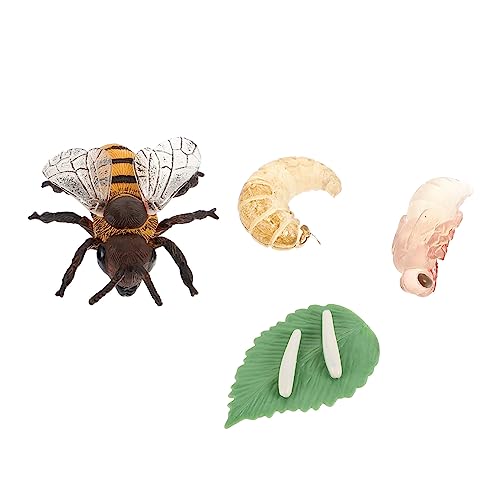FUNNETOYU 1Satz Bienen Modellfiguren Kognitive Spielzeuge Für des Verständnisses des Insektenwachstumszyklus Realistische Nachbildung Für Unterricht FUNNETOYU 1Satz Bienen Modellfiguren Kognitive Spielzeuge Für des Verständnisses des Insektenwachstumszyklus Realistische Nachbildung Für Unterricht von FUNNETOYU