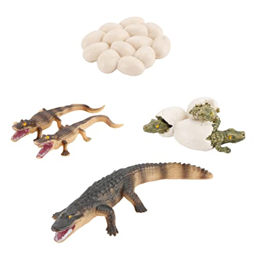 FUNNETOYU 1Satz Künstliches Krokodilspielzeug Mit Eiern Lernspielzeug Für Tierspielzeug Frühen Bildung Und Kreativen FUNNETOYU 1Satz Künstliches Krokodilspielzeug Mit Eiern Lernspielzeug Für Tierspielzeug Frühen Bildung Und Kreativen von FUNNETOYU