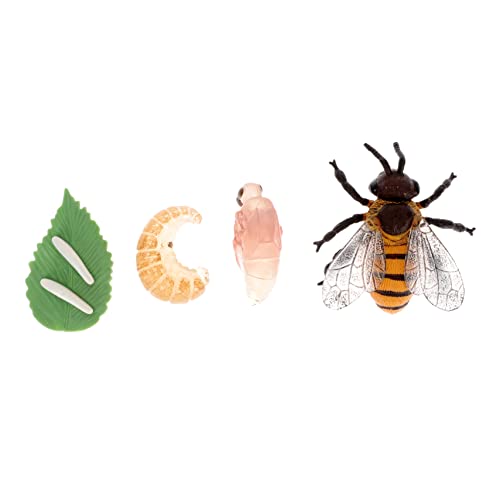 FUNNETOYU 1Satz Lebenszyklus Modellen Simulationsspielzeug für Bienenwachstums und Bildungsfiguren für Kreatives Lernen und Rollenspiele Unterricht und Partys FUNNETOYU 1Satz Lebenszyklus Modellen Simulationsspielzeug für Bienenwachstums und Bildungsfiguren für Kreatives Lernen und Rollenspiele Unterricht und Partys von FUNNETOYU