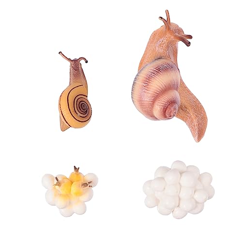FUNNETOYU 1Satz Simulierte Tierfiguren Set Kunststoff Modelle für Umweltfreundliches Lernspielzeug zur Darstellung des Lebenszyklus für Garten und Zimmerdekoration FUNNETOYU 1Satz Simulierte Tierfiguren Set Kunststoff Modelle für Umweltfreundliches Lernspielzeug zur Darstellung des Lebenszyklus für Garten und Zimmerdekoration von FUNNETOYU