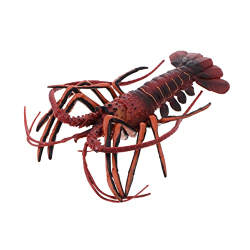 FUNNETOYU 1Stück Hummer Modell aus Hochwertigem Realistisches Meeres Tier Aquarium Dekoration und Lernspielzeug für Lebensechte Nachbildung FUNNETOYU 1Stück Hummer Modell aus Hochwertigem Realistisches Meeres Tier Aquarium Dekoration und Lernspielzeug für Lebensechte Nachbildung von FUNNETOYU