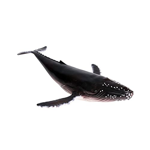 FUNNETOYU 1Stück Realistisches Walmodell Aus Kunststoff Humpback Whale Dekofigur Für Kinderzimmer Home Office Und Kreatives Und Tier Ornament Für Lebendige Raumgestaltung von FUNNETOYU