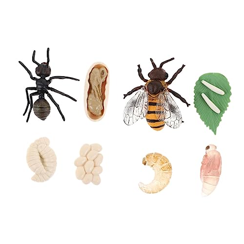 FUNNETOYU 2 Sätze Teiliges Set Lebenszyklus Modelle Bienen und Ameisenwachstum für Kognitive Lernhilfen für Schule und und Leicht zu Reinigen FUNNETOYU 2 Sätze Teiliges Set Lebenszyklus Modelle Bienen und Ameisenwachstum für Kognitive Lernhilfen für Schule und und Leicht zu Reinigen von FUNNETOYU