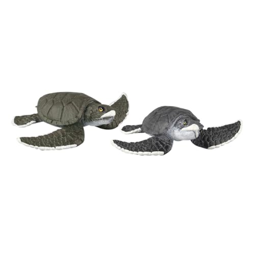 FUNNETOYU 2 Stück Teiliges Schildkröten Deko aus Kunststoff Realistische Meeresbewohner Figuren Pädagogisches Modell für Vielseitige Raum und Dekoration von FUNNETOYU