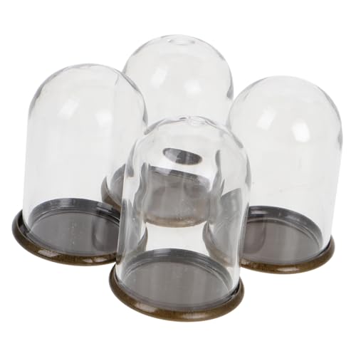 FUNNETOYU 4 Stück Mini konservierte Blumenabdeckung Glaskuppeln für Ausstellungszwecke Glasglocke maßstabsgetreue Miniaturgläser Metall von FUNNETOYU