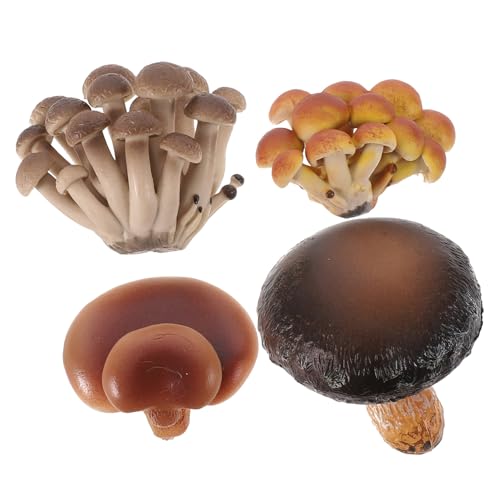 FUNNETOYU 4 Stück Teiliges Pilzwachstum Lernspielzeug aus Sicherem PVC Realistische Pilzmodelle zur Frühkindlichen Bildung Lebenszyklus simulierte Kunststoffpilze für Naturentdeckung und FUNNETOYU 4 Stück Teiliges Pilzwachstum Lernspielzeug aus Sicherem PVC Realistische Pilzmodelle zur Frühkindlichen Bildung Lebenszyklus simulierte Kunststoffpilze für Naturentdeckung und von FUNNETOYU