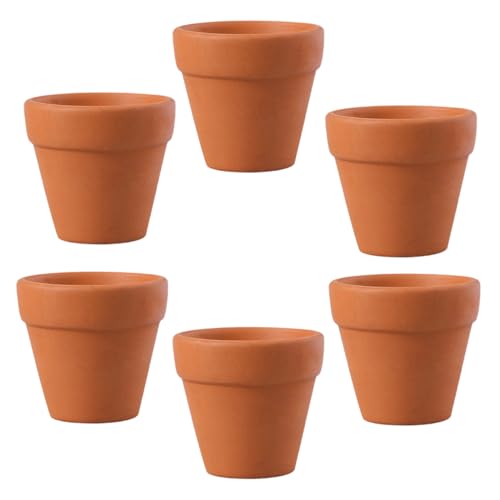 FUNNETOYU 6 Stück Mini-Blumentopf aus Keramik Mini blumentöpfe kleine blumentöpfe terrakotta blumentöpfe Terrakotta-Pflanzentöpfe winzige Blumentöpfe Kinderzimmer Töpfe Mini-Pflanztöpfe Ton von FUNNETOYU