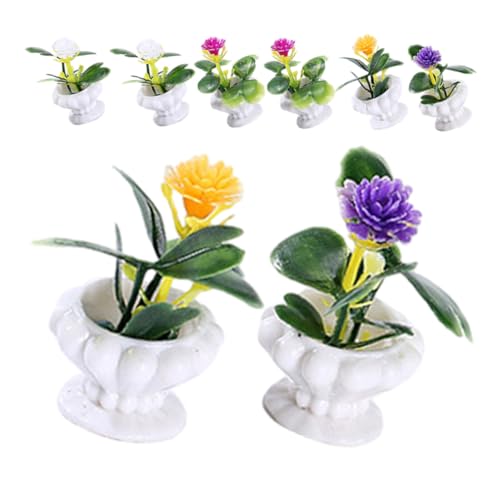 FUNNETOYU 8 Stück Teiliges Miniatur Pflanzen Mini Bonsai Modell Miniatur Topfpflanzen Mini Garten Dekor Leicht Platzsparend für Puppenhaus und Miniaturhaus Gestaltung von FUNNETOYU